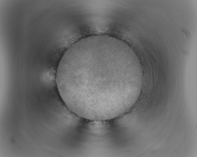 X0000110860672200907021417