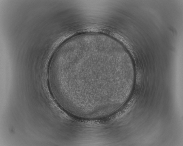 X0000110860673200907021416