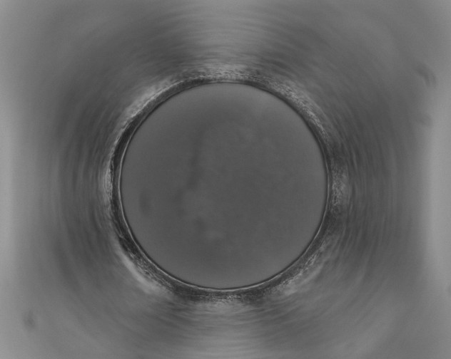 X0000110860674200907021416