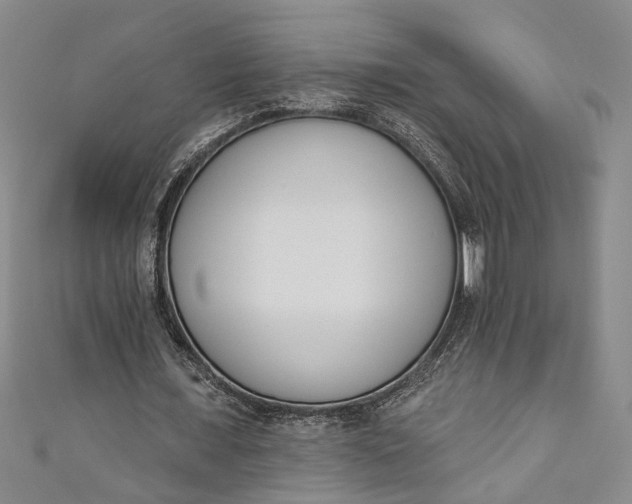 X0000110860675200907021416