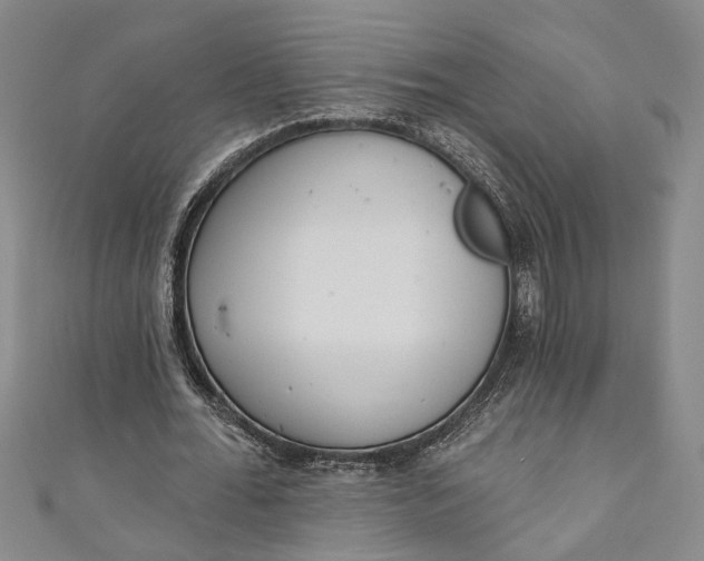 X0000110860676200907021416