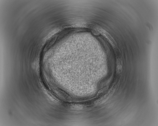 X0000110860677200907021416