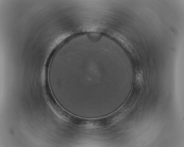 X0000110860678200907021416