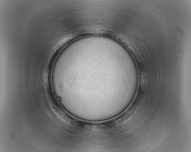 X0000110860679200907021416