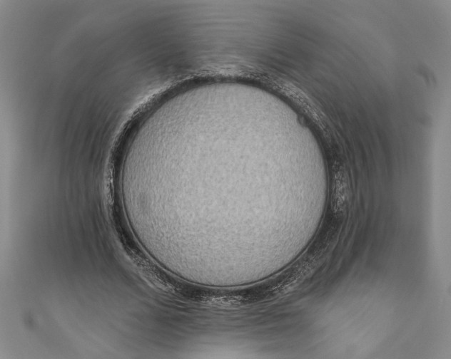 X0000110860680200907021416