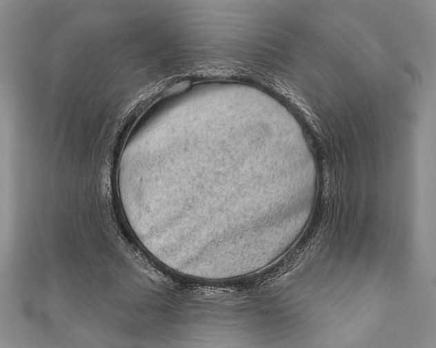 X0000110860681200907021416