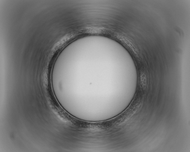 X0000110860682200907021416