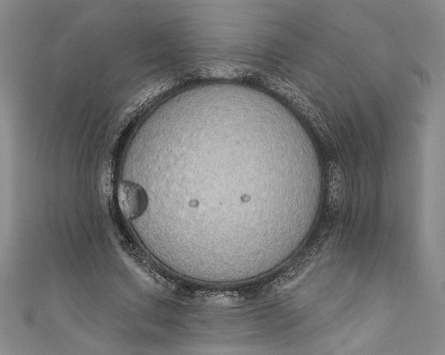 X0000110860683200907021416