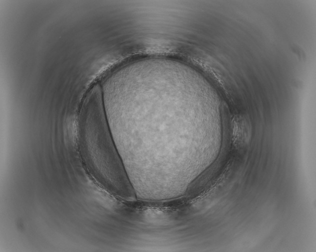 X0000110860684200907021416