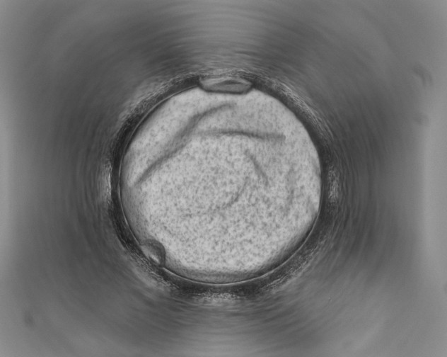 X0000110860685200907021416