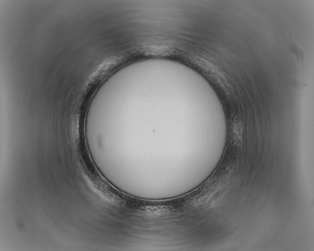 X0000110860686200907021416