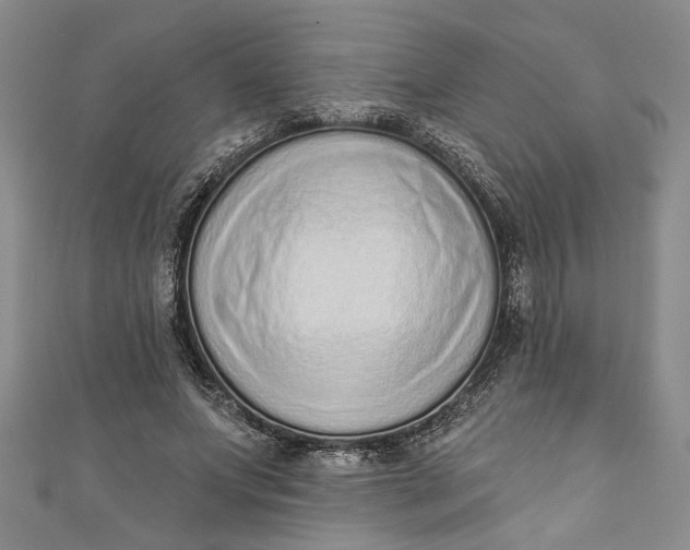 X0000110860687200907021416