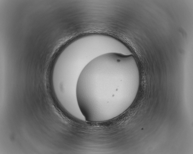 X0000110860688200907021416