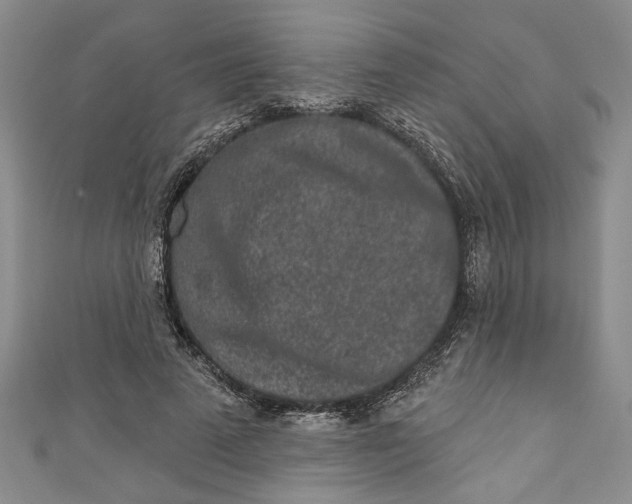 X0000110860689200907021416