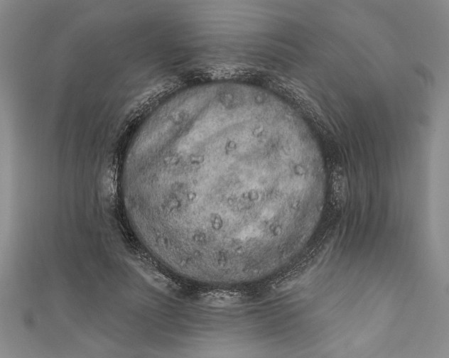 X0000110860691200907021416