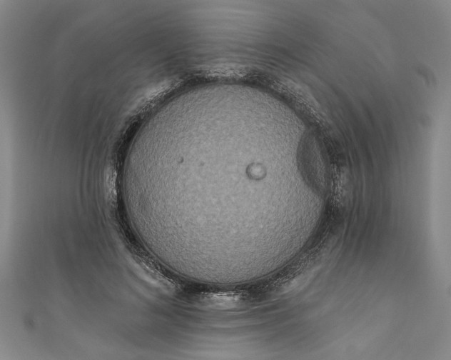 X0000110860692200907021416