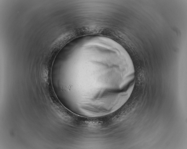 X0000110860693200907021416