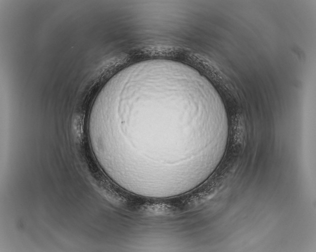 X0000110860695200907021416