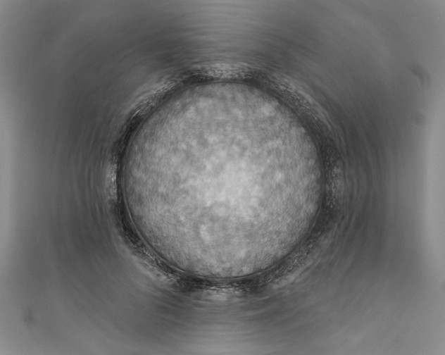 X0000110860696200907021416