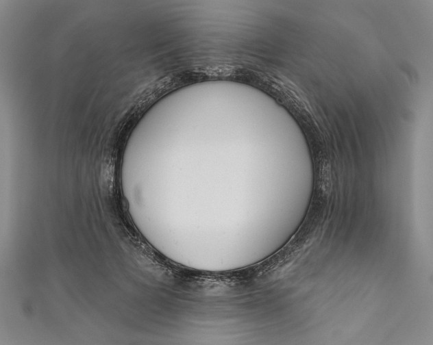 X0000110860697200907021416