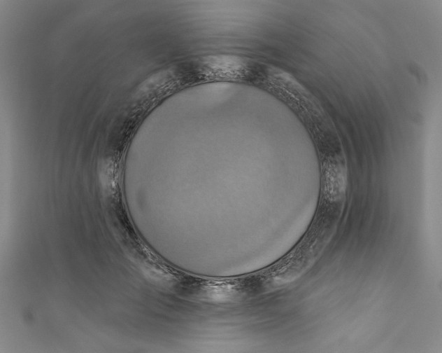 X0000110860701200907021416