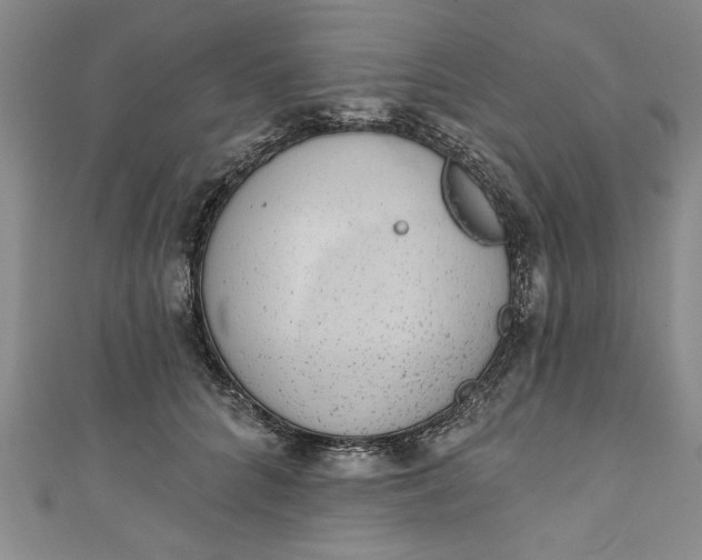 X0000110860704200907021416