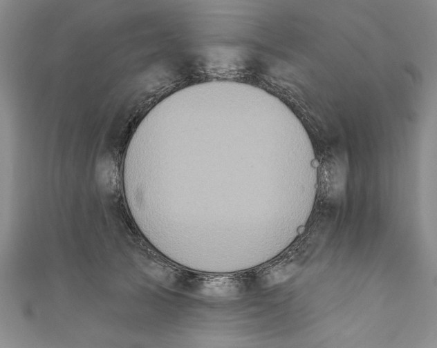 X0000110860705200907021416