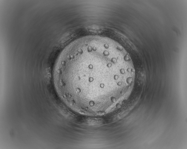 X0000110860707200907021416