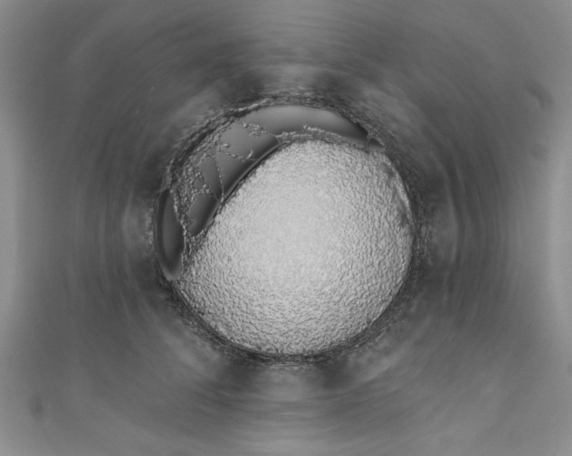 X0000110860708200907021416