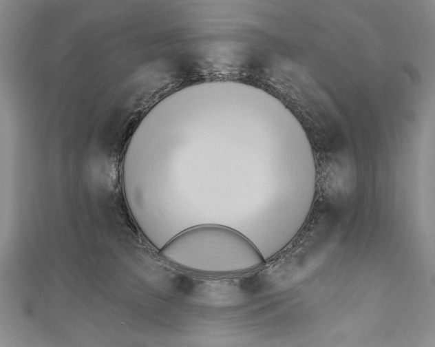 X0000110860709200907021416