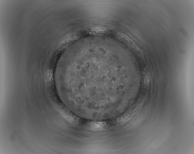 X0000110860711200907021416