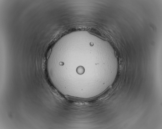 X0000110860712200907021416