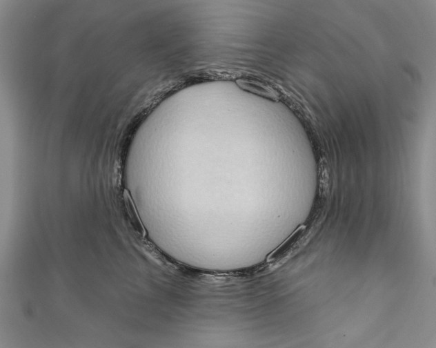 X0000110860713200907021416