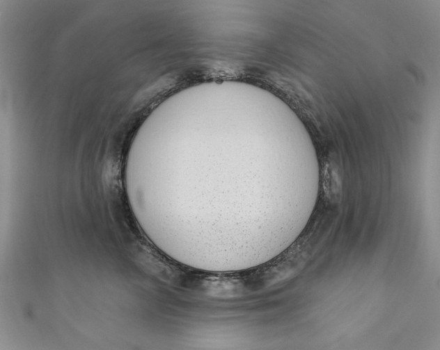 X0000110860714200907021416