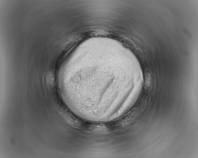 X0000110860715200907021416