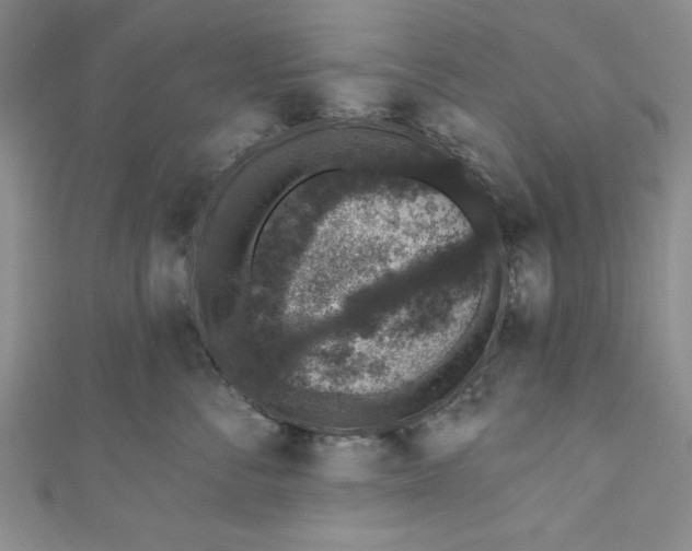 X0000110860716200907021416