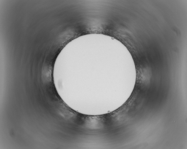 X0000110860717200907021416