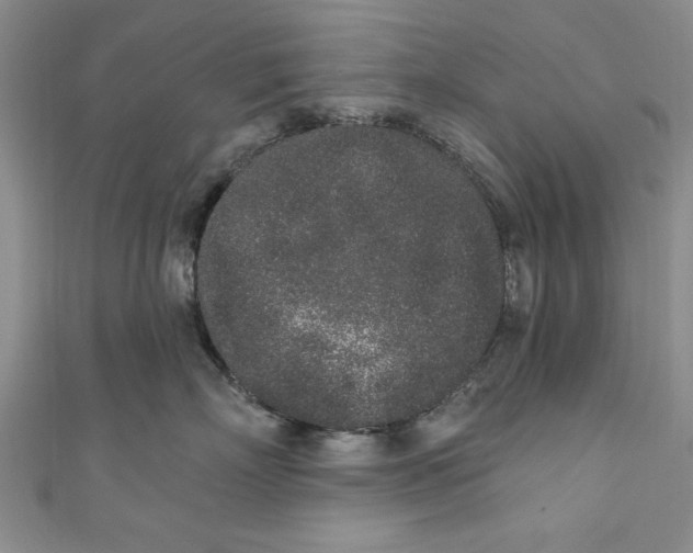 X0000110860718200907021416