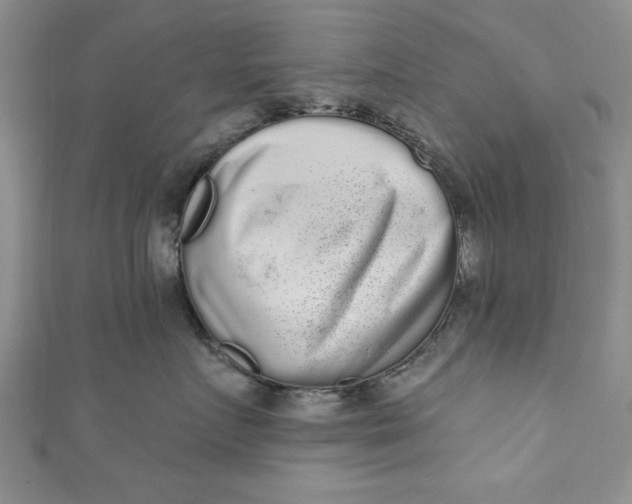 X0000110860719200907021416