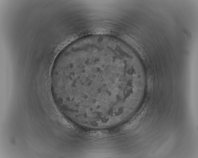 X0000110860721200907021415