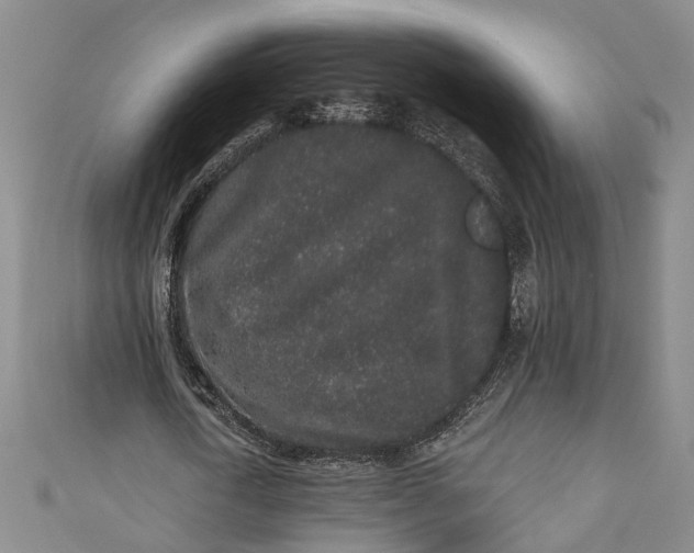 X0000110860722200907021415