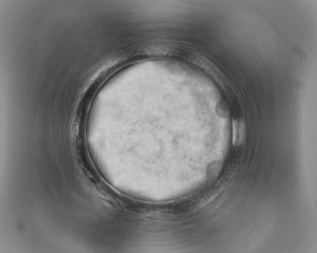 X0000110860723200907021415