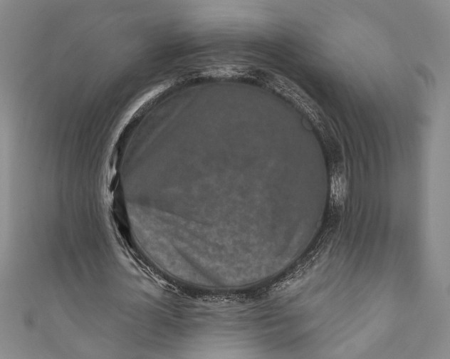 X0000110860724200907021415