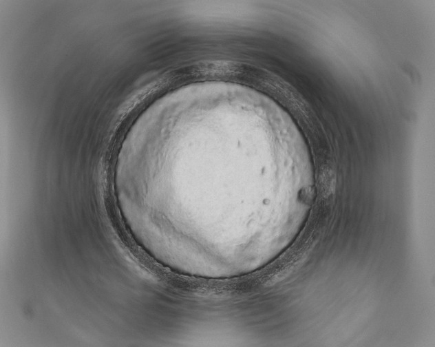 X0000110860725200907021415