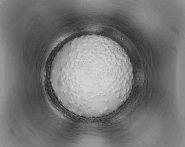 X0000110860726200907021415