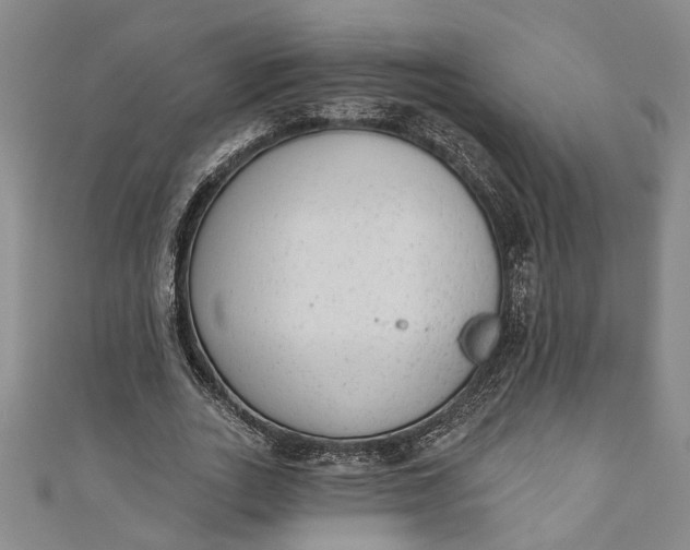 X0000110860727200907021415