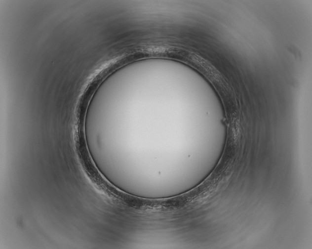 X0000110860728200907021415