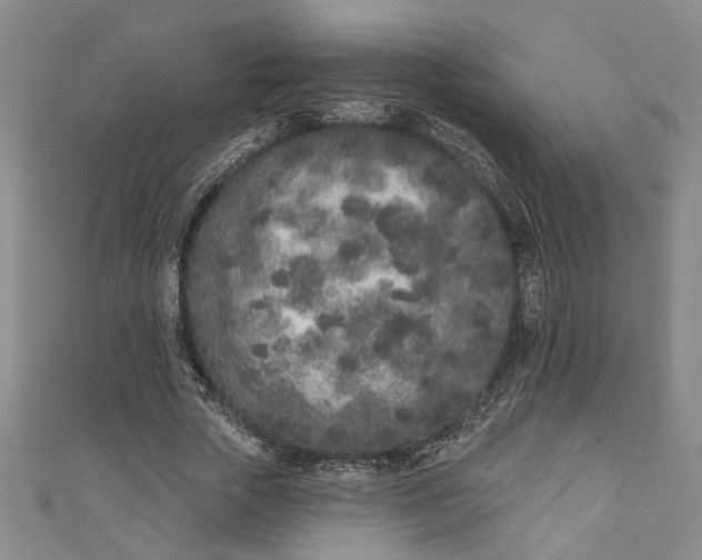 X0000110860729200907021415