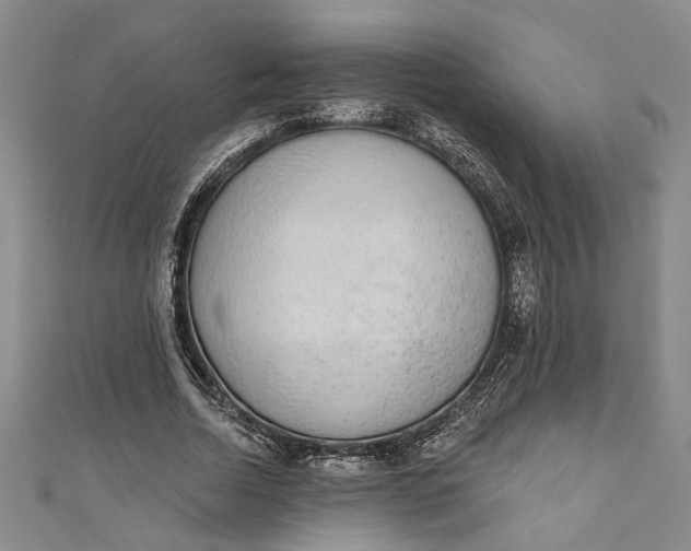 X0000110860730200907021415