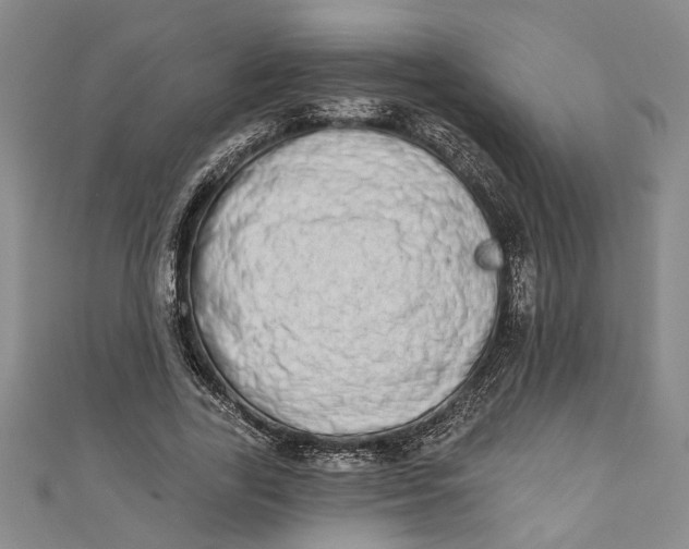 X0000110860731200907021415